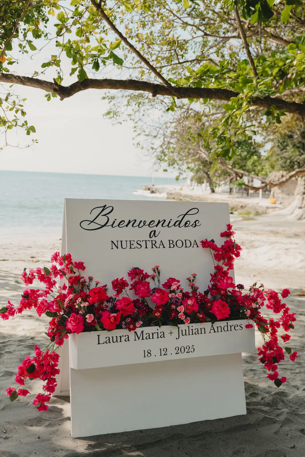 Boda de Laura & Julián